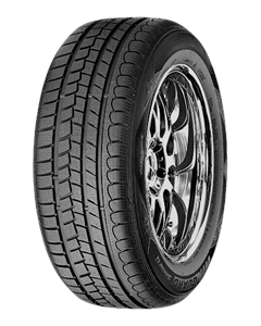 Roadstone Winguard Snow G