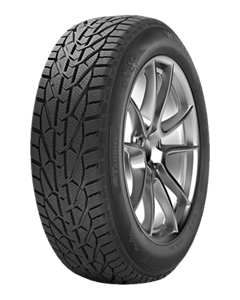 TAURUS 205/55R16 91H WINTER