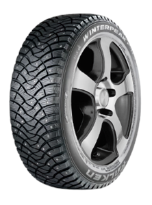 Falken Winterpeak F-Ice 1