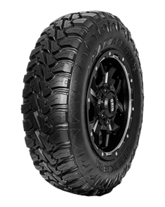 NEXEN Roadian MTX