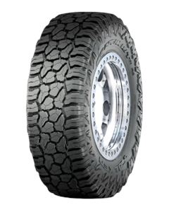 Falken Wildpeak R/T01