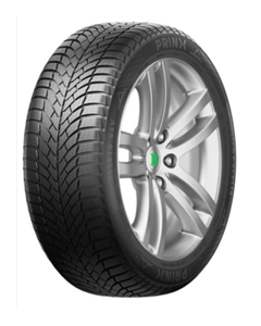 175/65 R15 88H Winter Excelia