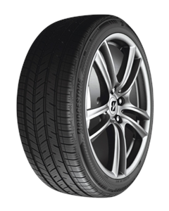 Bridgestone Driveguard Plus